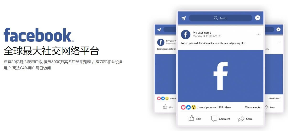 上海海外社交媒体营销  第1张